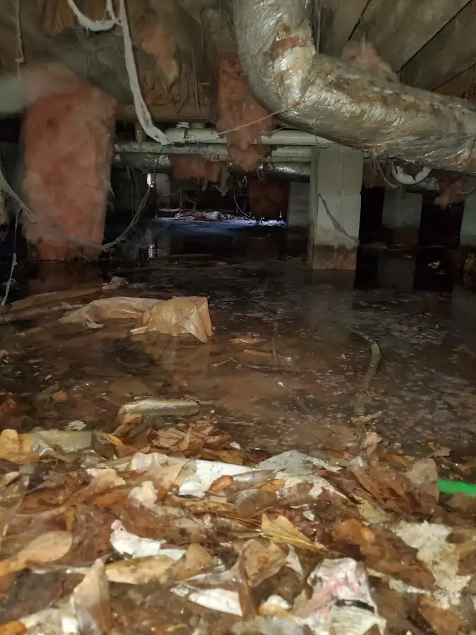 Crawl space flood assessment for Leak Detection & Repair in Sansom Park