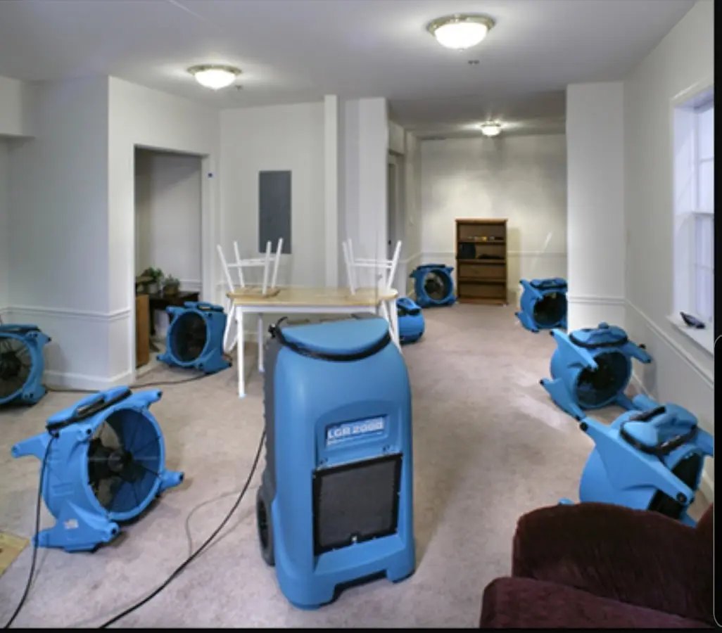 Air movers and dehumidifier setup for Water Extraction & Removal in Sansom Park